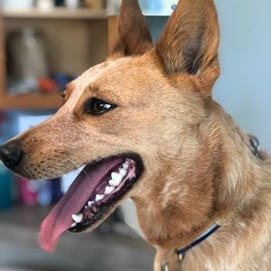 Meet your Posher, Leah